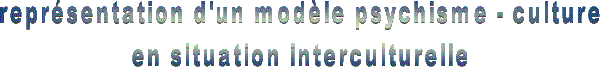 reprsentation d'un modle psychisme – culture en situation interculturelle