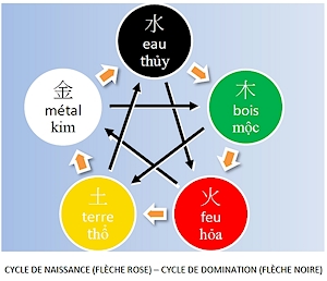 cycles des 5 agents